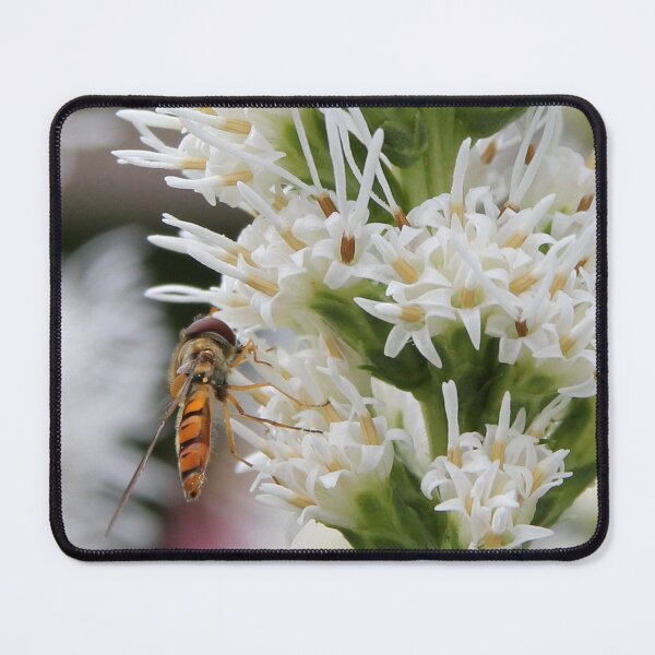 Item preview, White Sweet Flowers designed and sold by KeiKeiCreative.