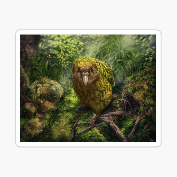 Vista previa del artículo con la obra «Kakapo», diseñado y vendido por alandodrawing.