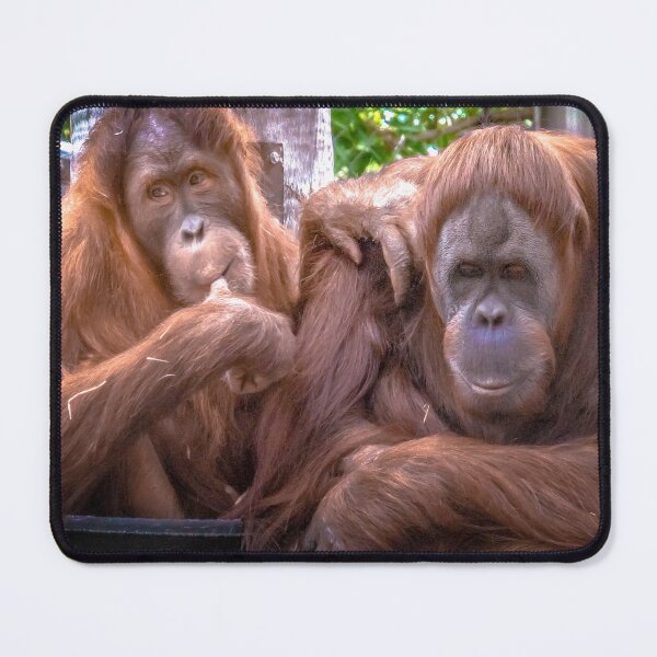 Item preview, The Naughty Orangutan designed and sold by Steven Jodoin.