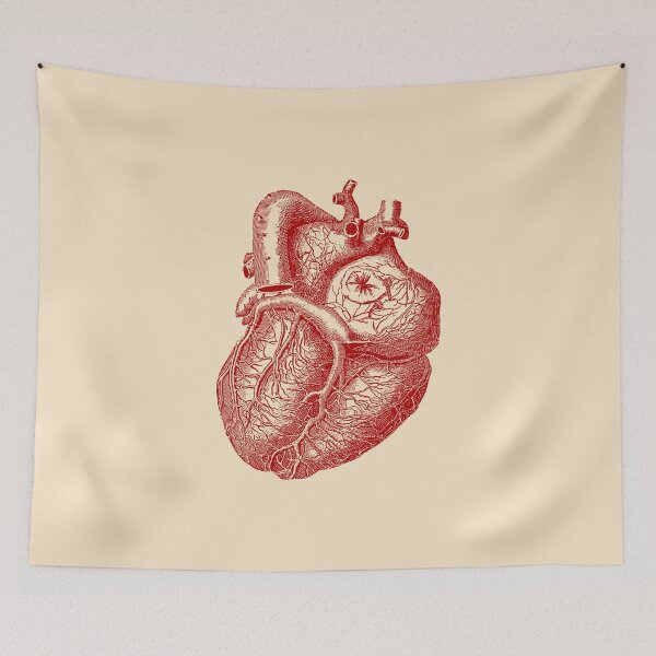Item preview, Heart Anatomy designed and sold by GGlobeStudio.