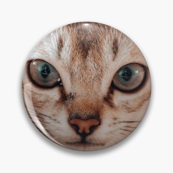 Item preview, TOMMY designed and sold by jayde amelia.