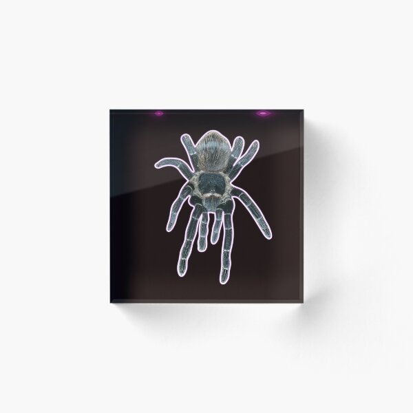 Item preview, Tracey the tarantula loves you designed and sold by batkev83.