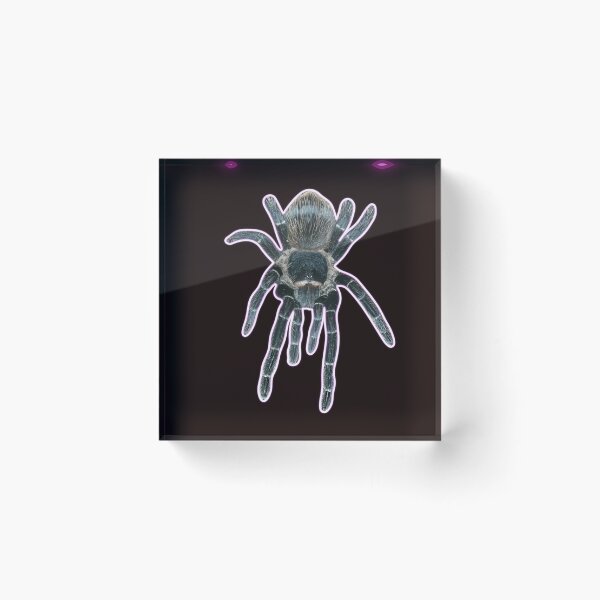 Item preview, Tracey the tarantula loves you designed and sold by batkev83.
