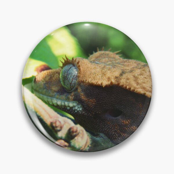Item preview, Tiny dragon exploring the jungle designed and sold by thetamar.