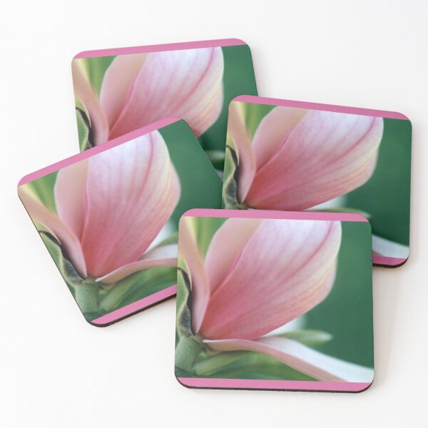 Item preview, pink Japanese Saucer Magnolia, single bloom designed and sold by DigitalEurydice.