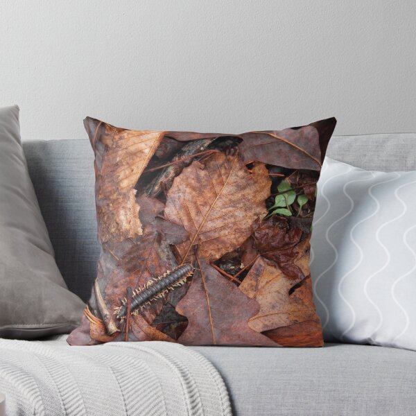 Item preview, A Walk in the Woods #2 designed and sold by Carol Bailey-White.