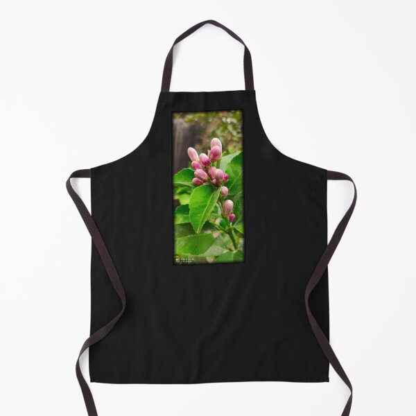 Item preview, A Beatiful Pink Lemon Tree Bloom designed and sold by Celestina Levant.