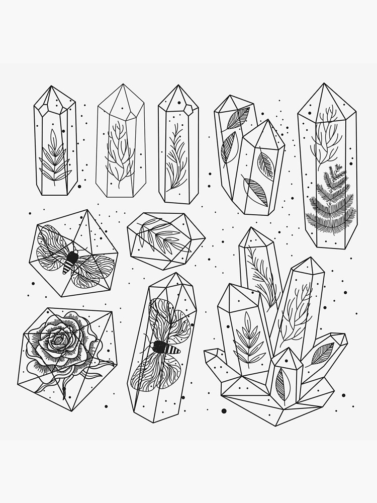 "Terrariums" Canvas Print by marinademidova Redbubble