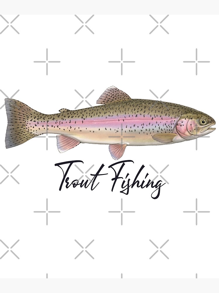 Rainbow Trout Fly Fishing Poster