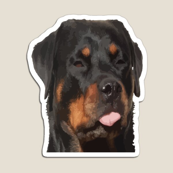 Imán for Sale con la obra «Cara divertida tonta Rottweiler con la