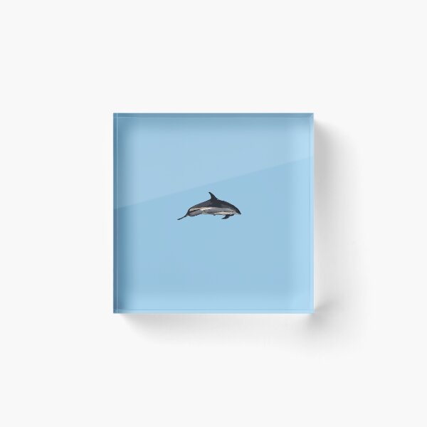 Item preview,  An Atlantic White Sided Dolphin Color Design Painting Print designed and sold by designsasstultd.