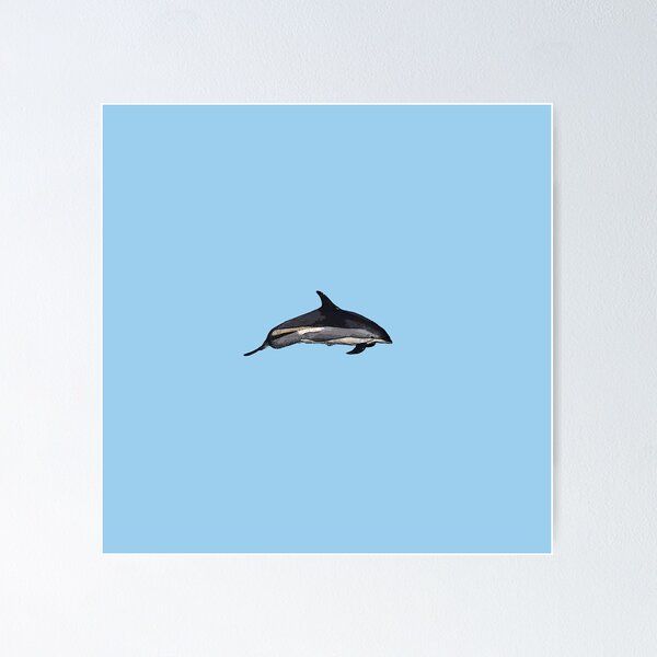Item preview,  An Atlantic White Sided Dolphin Color Design Painting Print designed and sold by designsasstultd.