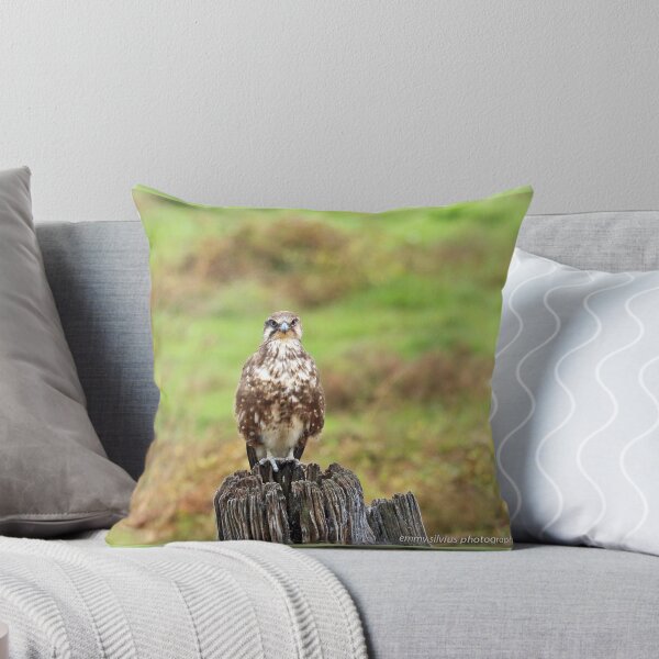Item preview, Brown Falcon (658) designed and sold by Emmy Silvius.