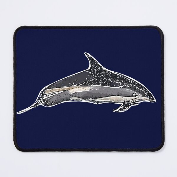 Item preview, An Atlantic White Sided Dolphin White Alternate Design Painting Print designed and sold by designsasstultd.