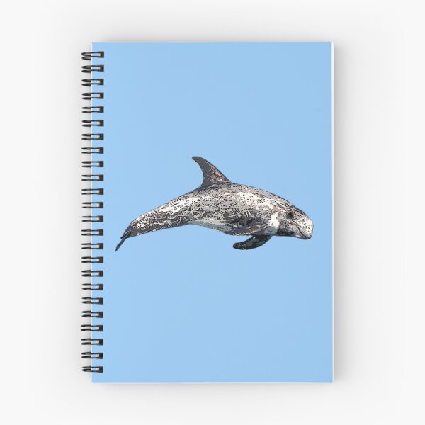 Item preview, A Risso's (Rissos) Dolphin Color Design Painting Print designed and sold by designsasstultd.