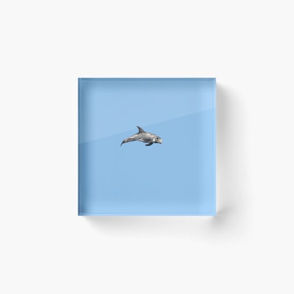 Item preview, A Risso's (Rissos) Dolphin Color Design Painting Print designed and sold by designsasstultd.