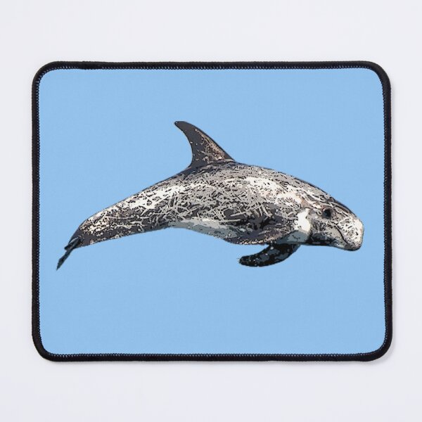 Item preview, A Risso's (Rissos) Dolphin Color Design Painting Print designed and sold by designsasstultd.
