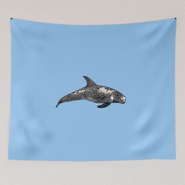 Item preview,  A Risso's (Rissos) Dolphin Black Alternate Design Painting Print designed and sold by designsasstultd.
