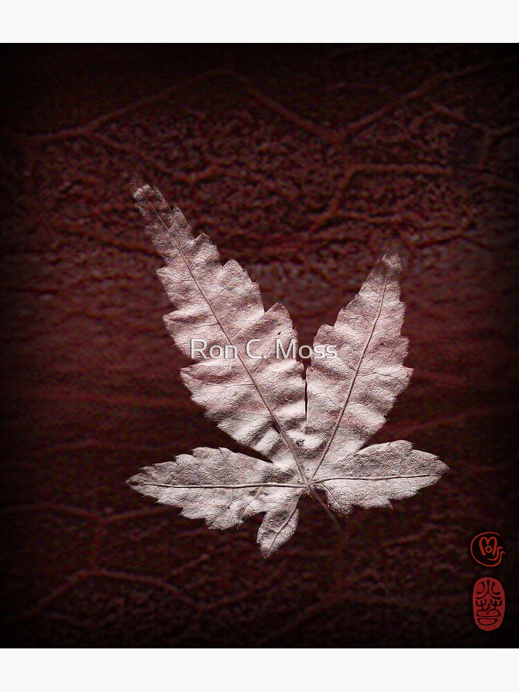 Maple Blood by ronmoss
