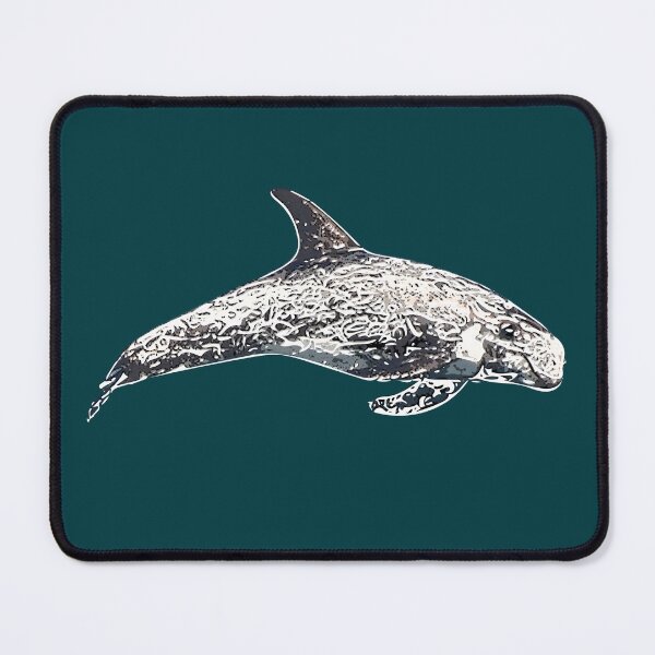 Item preview, A Risso's (Rissos) Dolphin White Alternate Design Painting Print designed and sold by designsasstultd.