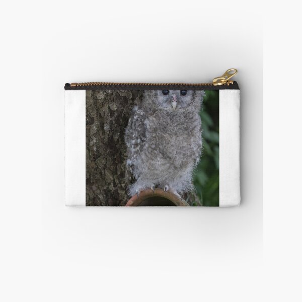 Item preview, What a hoot!!! designed and sold by Susan Purveur.