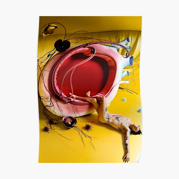 "Fine Line Vinyl Album Poster" Poster for Sale by Powliny Redbubble