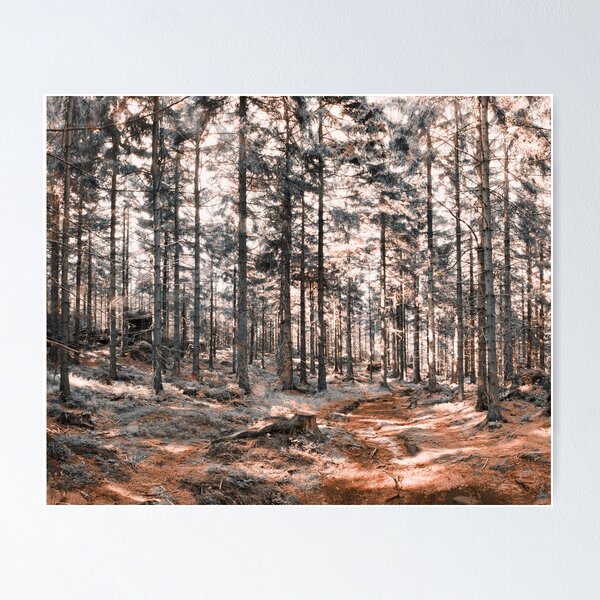 Item preview, Forest designed and sold by Dominika Aniola.