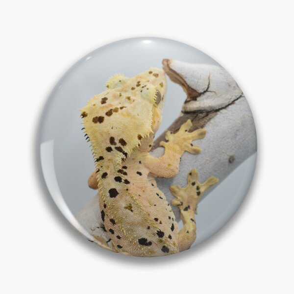 Item preview, Super dálmata gecko crestado designed and sold by Mooncake-Geckos.