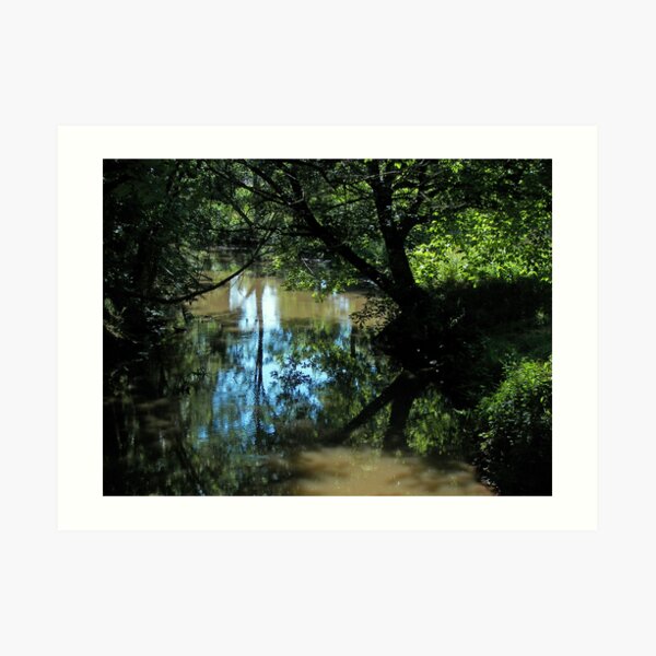 Creek woods Art Print