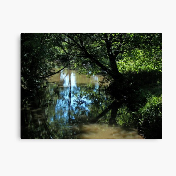 Creek woods Canvas Print