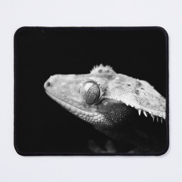 Item preview, Geco crestado B&N designed and sold by Mooncake-Geckos.