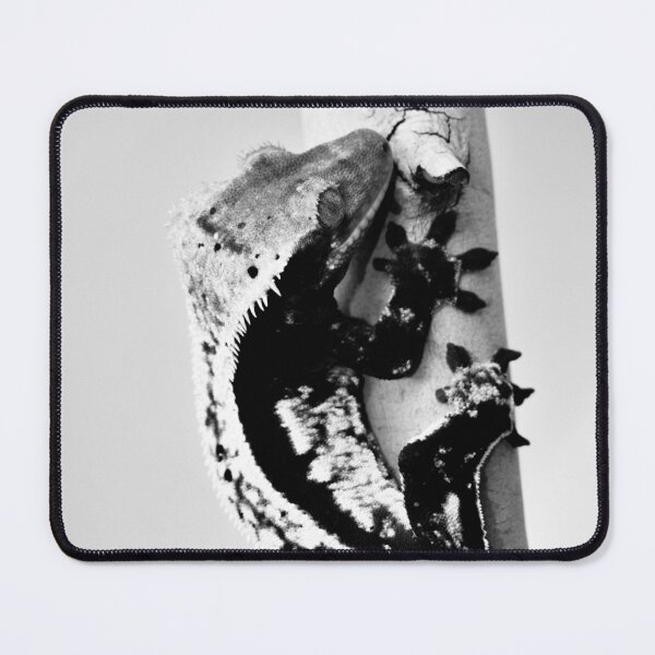 Item preview, Geco crestado B&N designed and sold by Mooncake-Geckos.