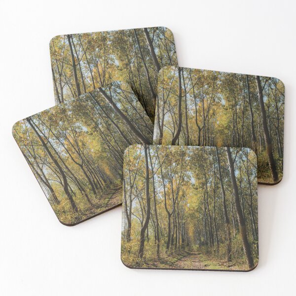Item preview, forest in summer designed and sold by Pacesyte.