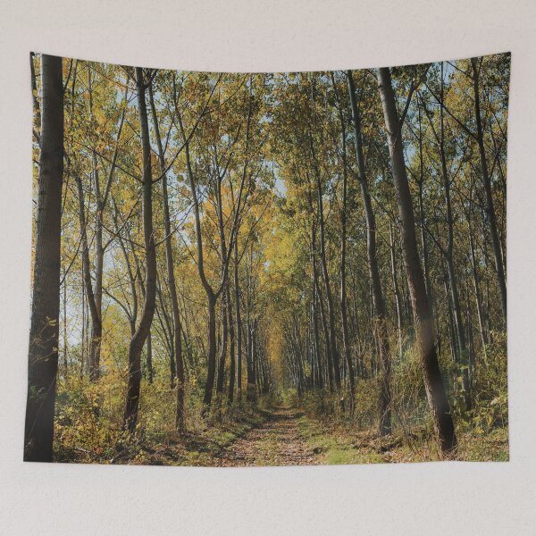 Item preview, forest in summer designed and sold by Pacesyte.