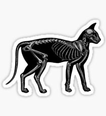 Cat silhouette with skeleton Sticker