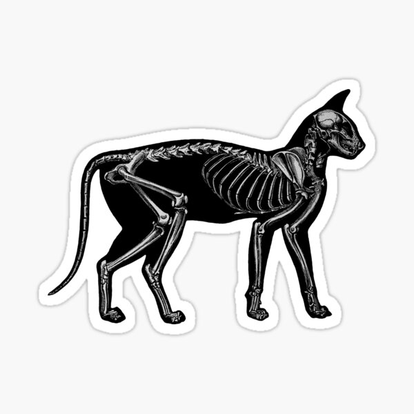 Animal Science Gifts & Merchandise | Redbubble