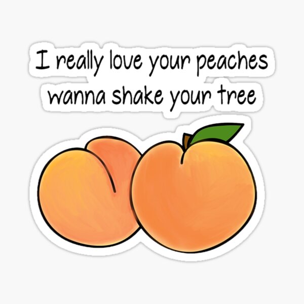 Peaches Peaches Lyrics Sticker for Sale by sparkerzed