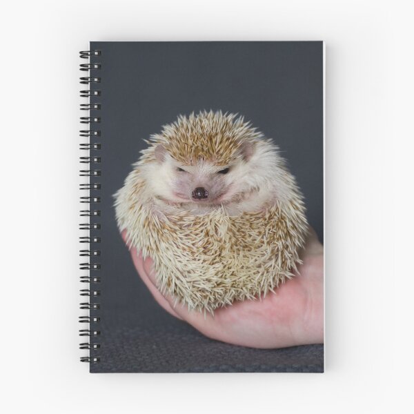 Item preview, Grumpy Hedgehog designed and sold by ashl3yjohnson.