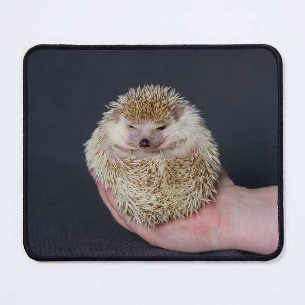 Item preview, Grumpy Hedgehog designed and sold by ashl3yjohnson.