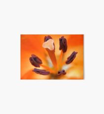 Macro flower Art Board