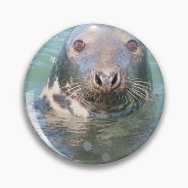 Item preview, Common Seal Porth Llynas designed and sold by Derren Jones.