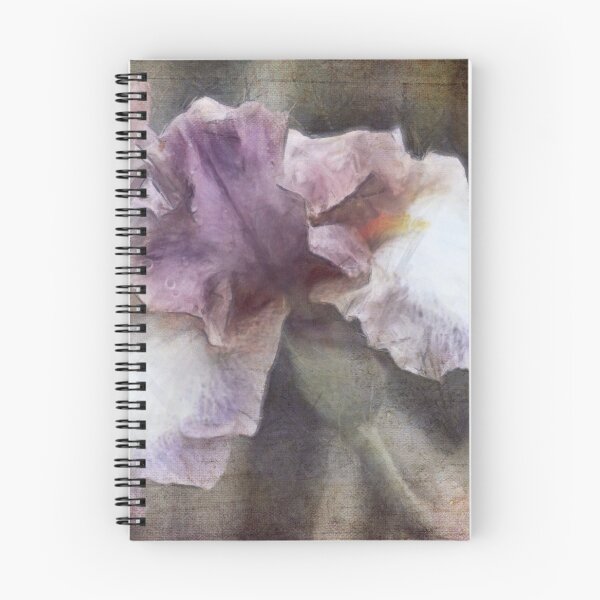 Item preview, Purple and white Flag Iris in close up. designed and sold by Margi.