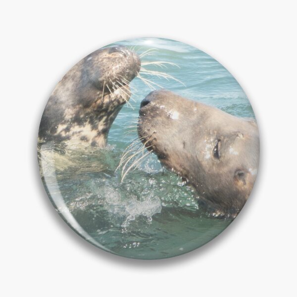 Item preview, Seals at Porth Llynas designed and sold by Derren Jones.