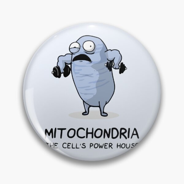 Item preview, Mitochondria The powerhouse of the cell. designed and sold by labstud.