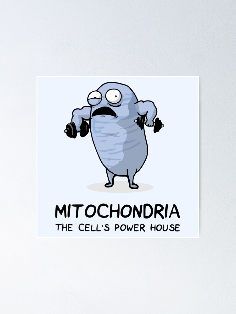 "Mitochondria The Powerhouse Of The Cell." Poster For Sale By Labstud ...