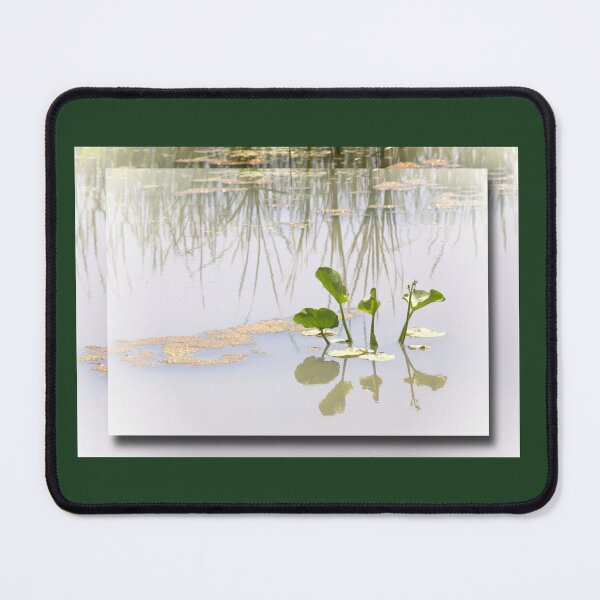 Item preview, Silence and Stillness designed and sold by CarolM.