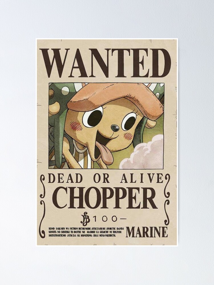 In One Piece, if Chopper were to get a real bounty from the