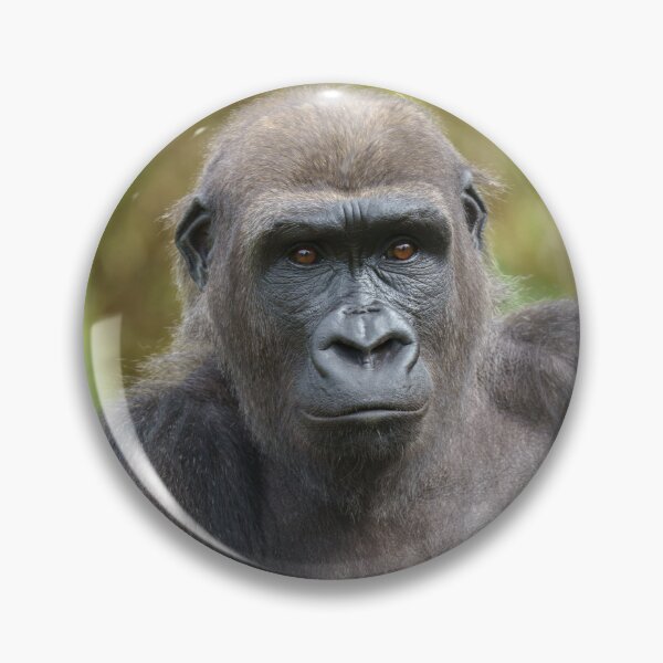 Item preview, gorilla portrait designed and sold by rawshutterbug.