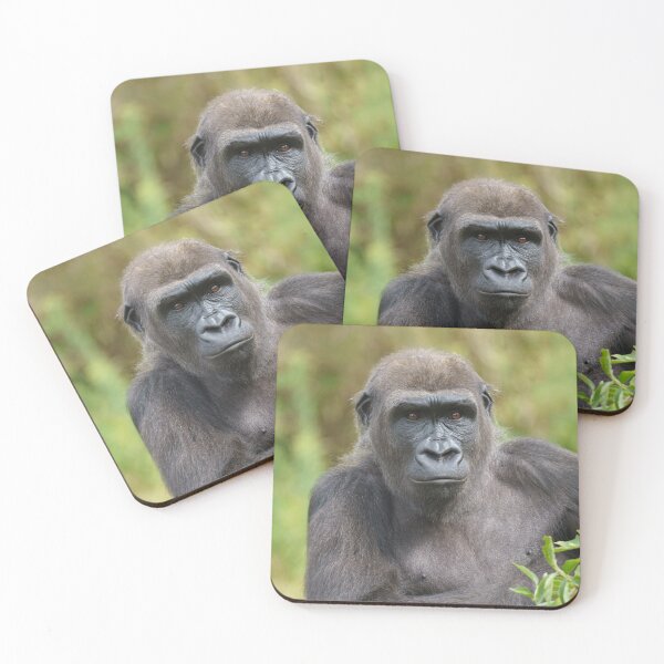 Item preview, gorilla portrait designed and sold by rawshutterbug.