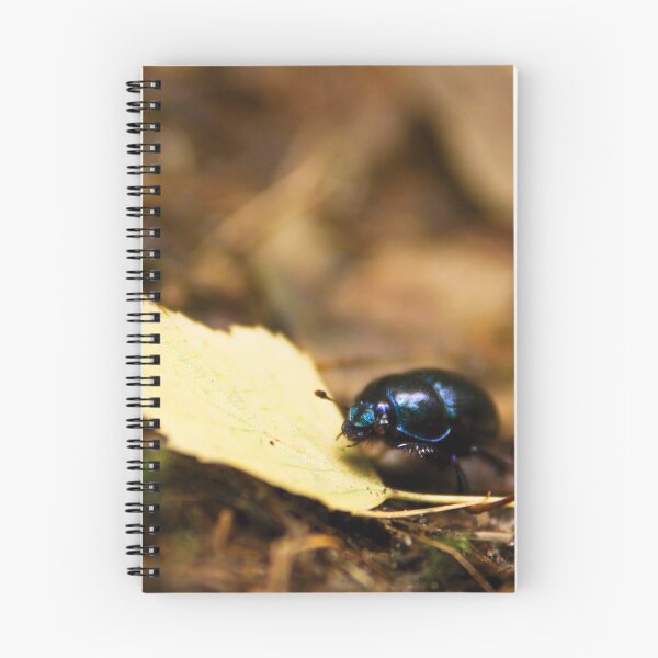 Item preview, Beetle and his journey designed and sold by Dominika Aniola.